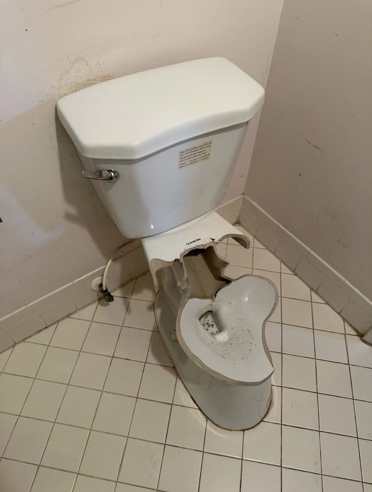 Vleyz Plumbing Services
