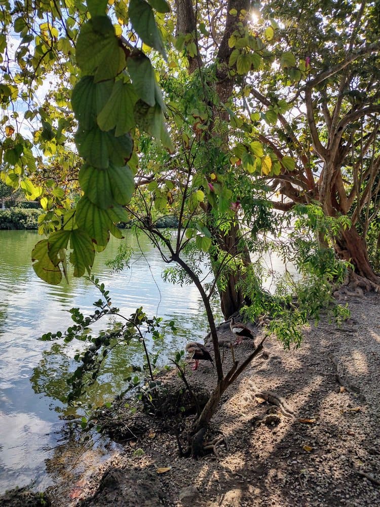 Fuchs Park