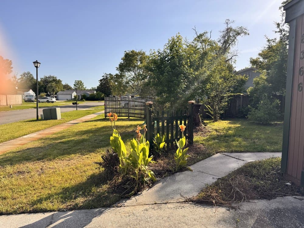 Grassology Of Jacksonville