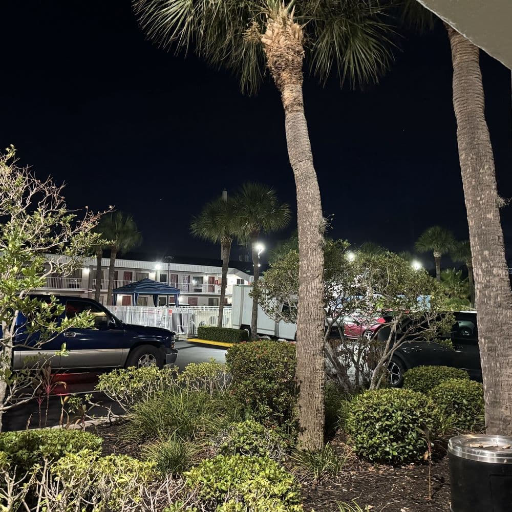 Hotel South Tampa and Suites