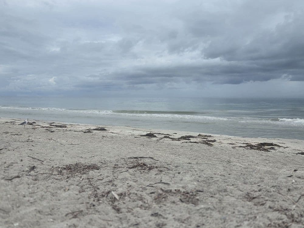 Morgan Beach Park