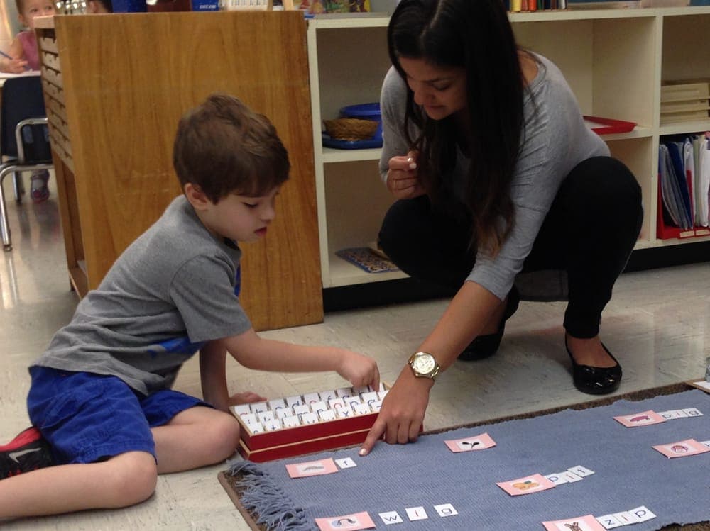 Country Day Montessori School - Carrollwood