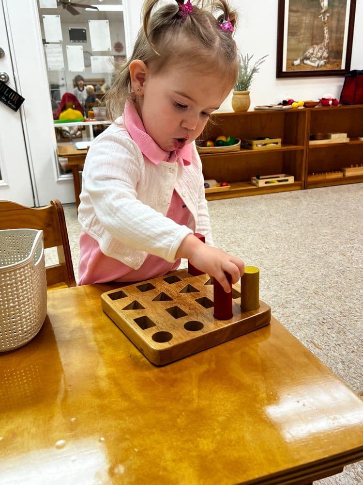 Morningside Montessori School