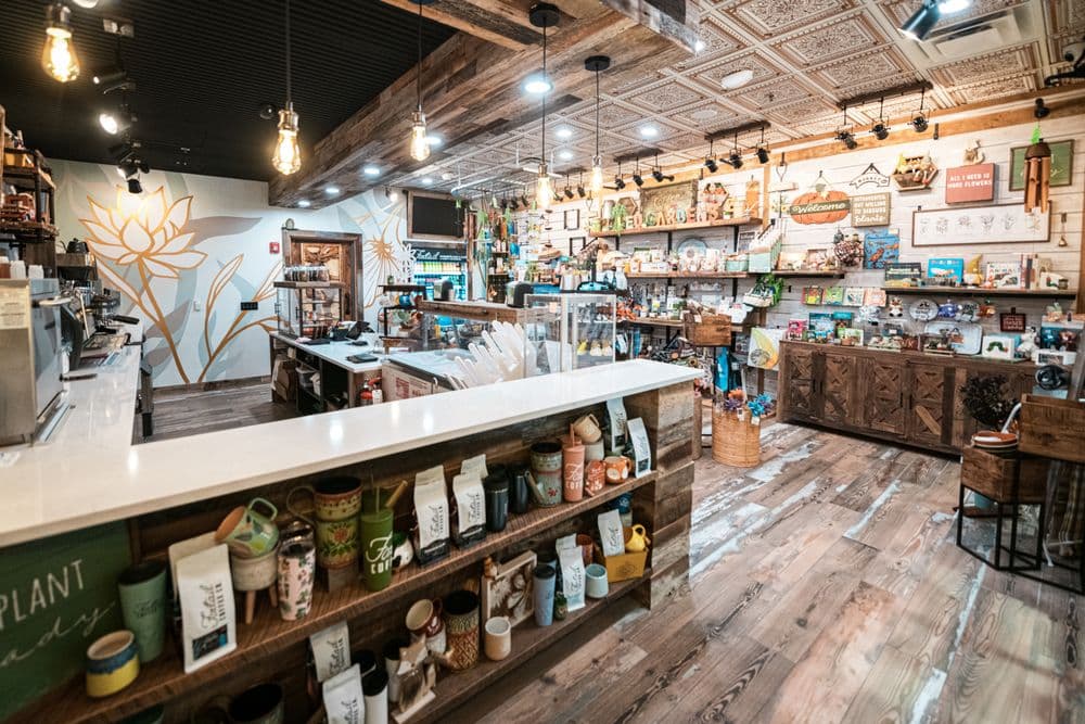 Foxtail Coffee Leu Gardens