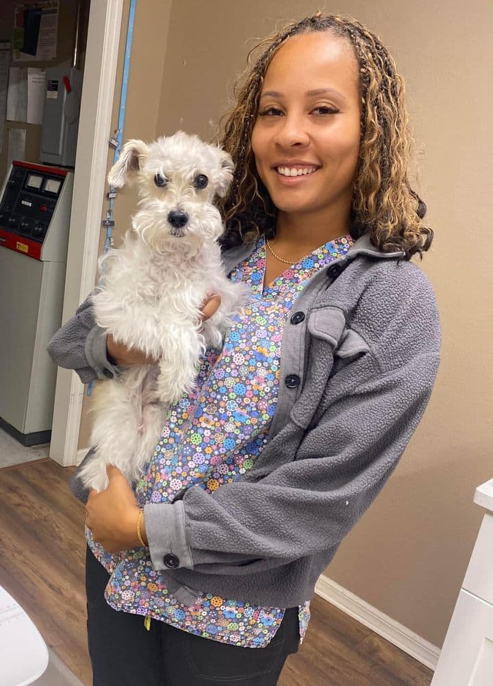 Urgent Paws Vet Clinic