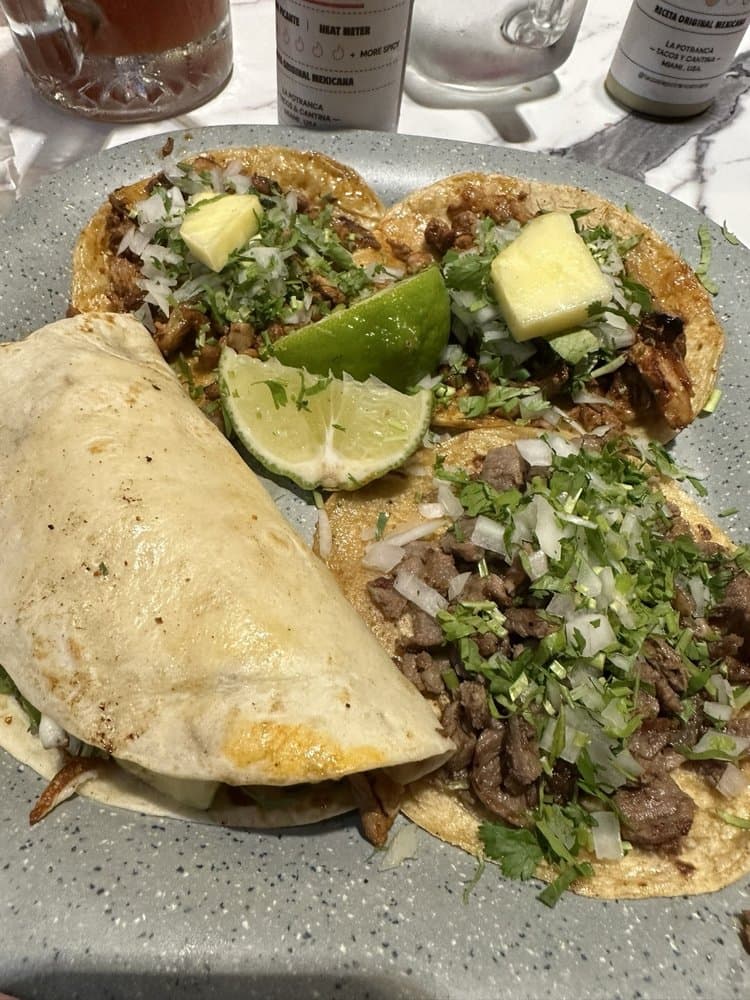 Tacos & Cantina La Potranca