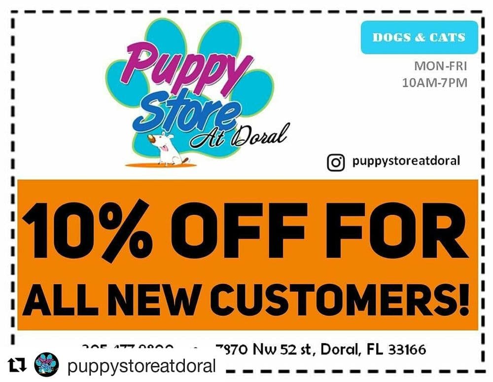 Puppy Store At Doral