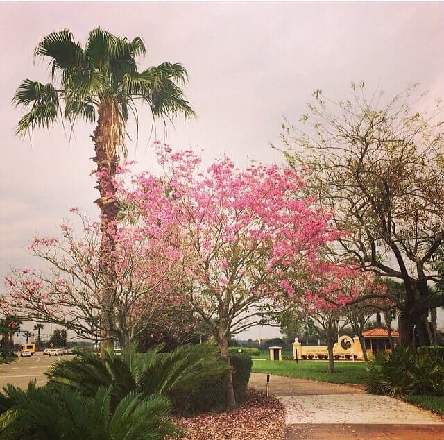 UCF's Rosen College of Hospitality Management