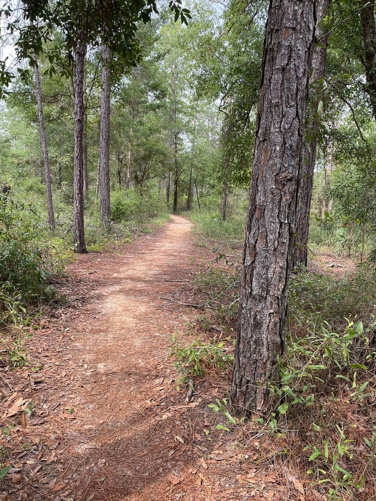 Tallahassee-St Marks Historic Railroad State Trail
