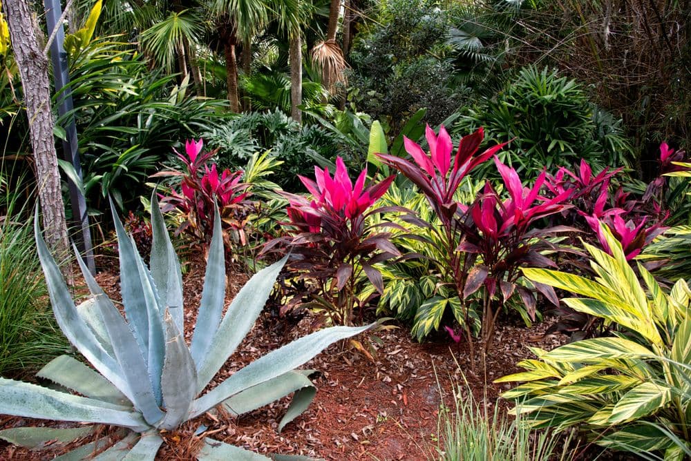 Dreamspell Gardens