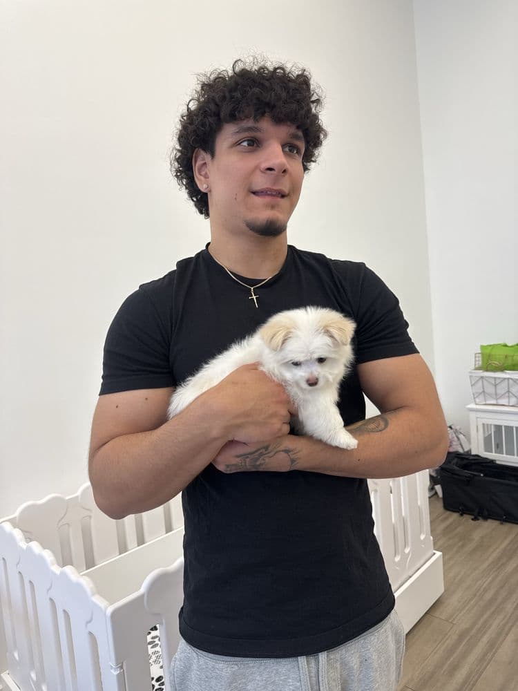 Paradise Puppies