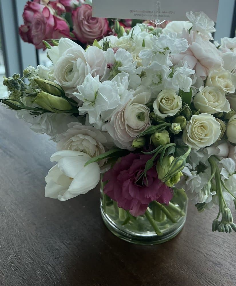 Paloma Blooms
