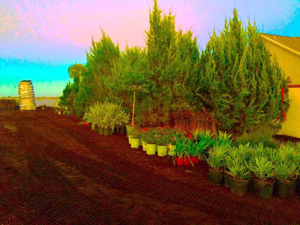 Horizon Landscaping