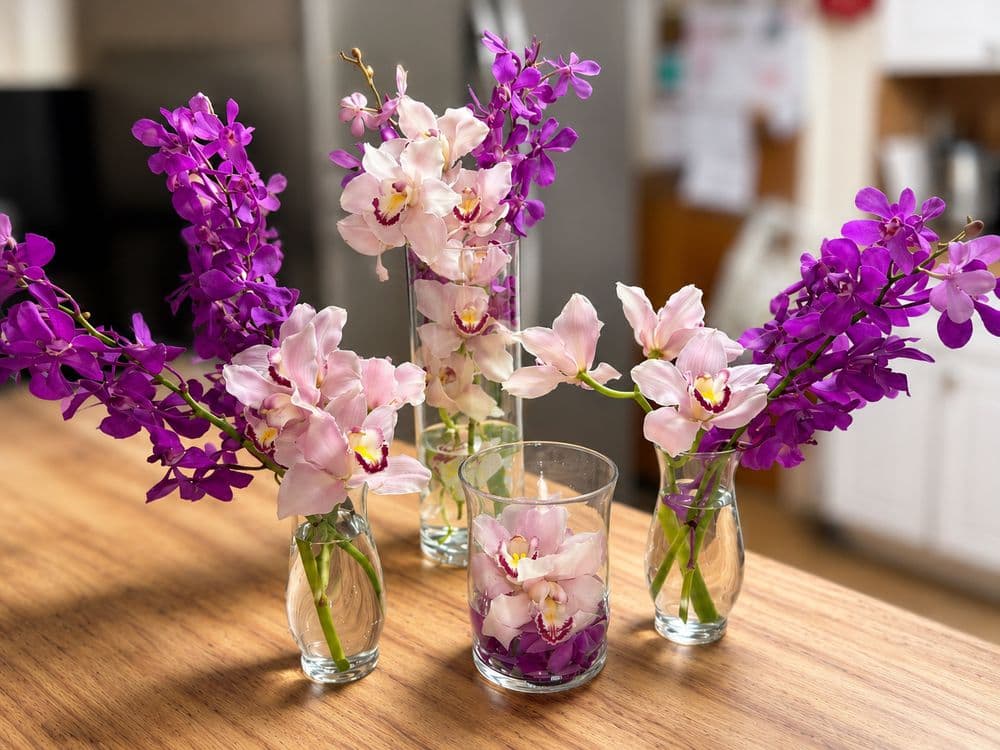 Pink Pelican Florist