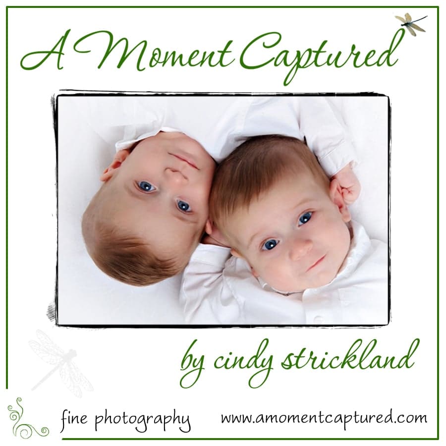 A Moment Captured By Cindy Strickland