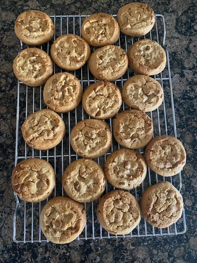 Scootergirl Cookies
