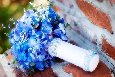 Dream Designs Florists