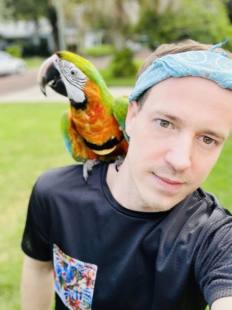 The Bird Store