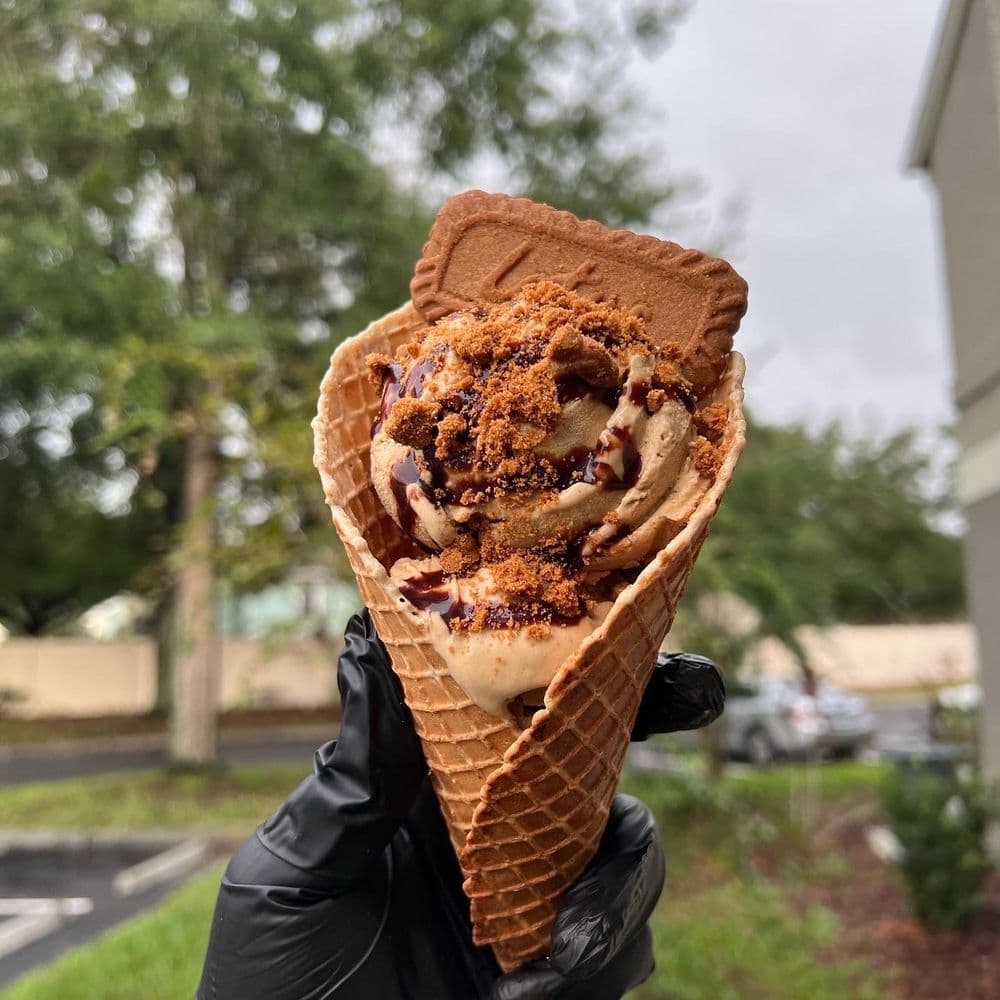 Vegan Scoops