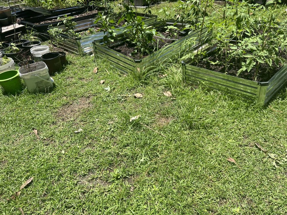 Grass Force
