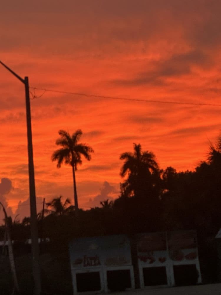 Mercedes-Benz of Fort Myers