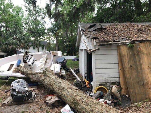 The Lawn Rangers Tree Removal and Lawn Service
