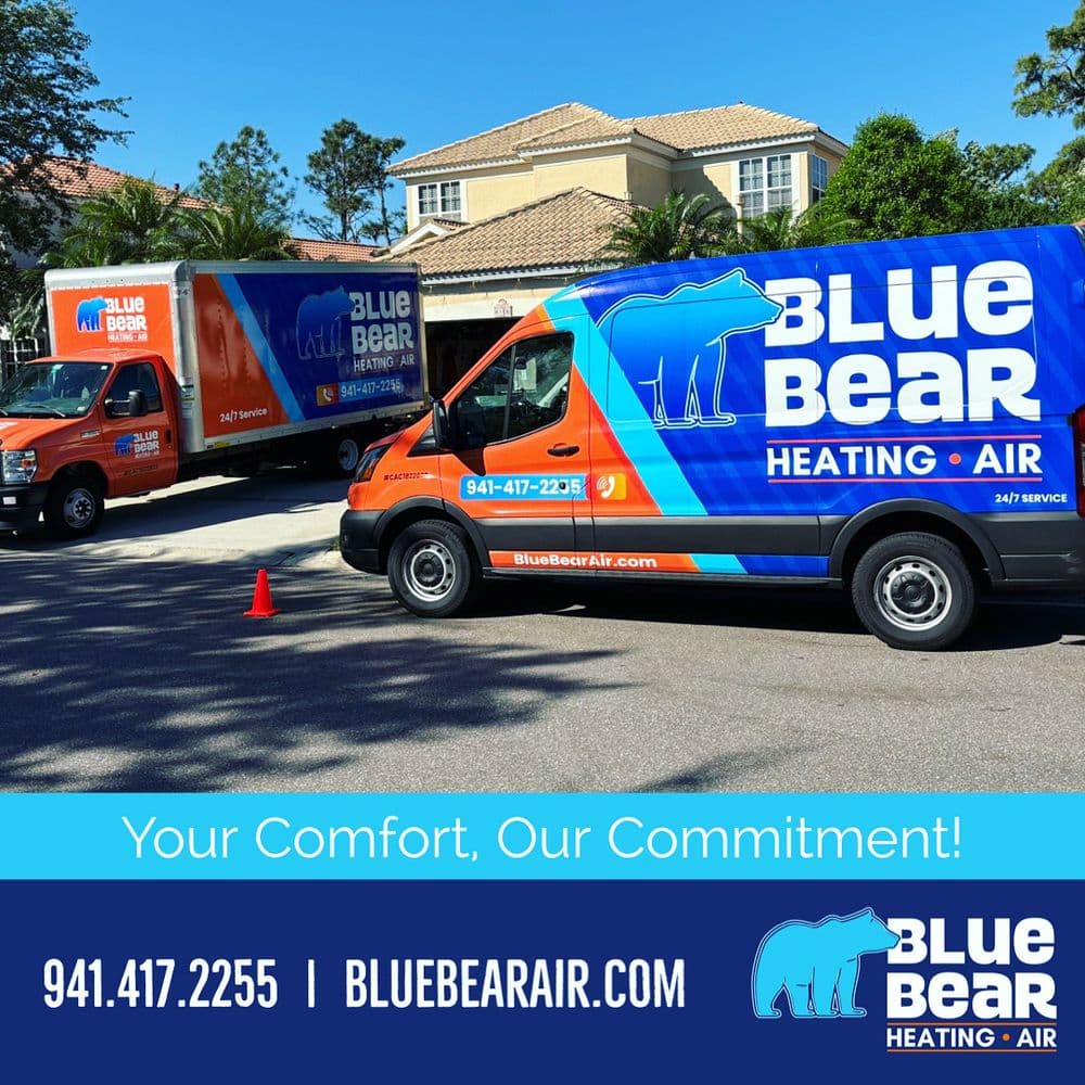 Blue Bear Total Home Services