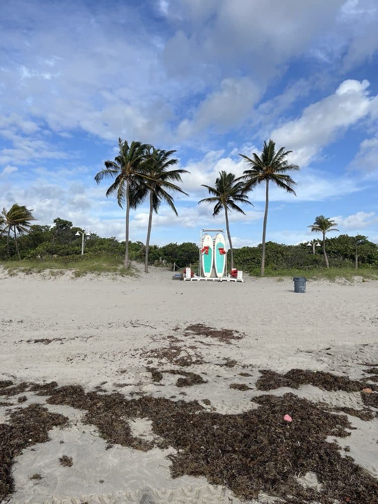 PADL - North Beach Park