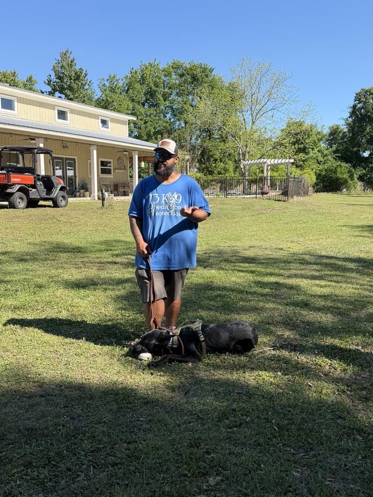 T3 K-9 Obedience and Protection