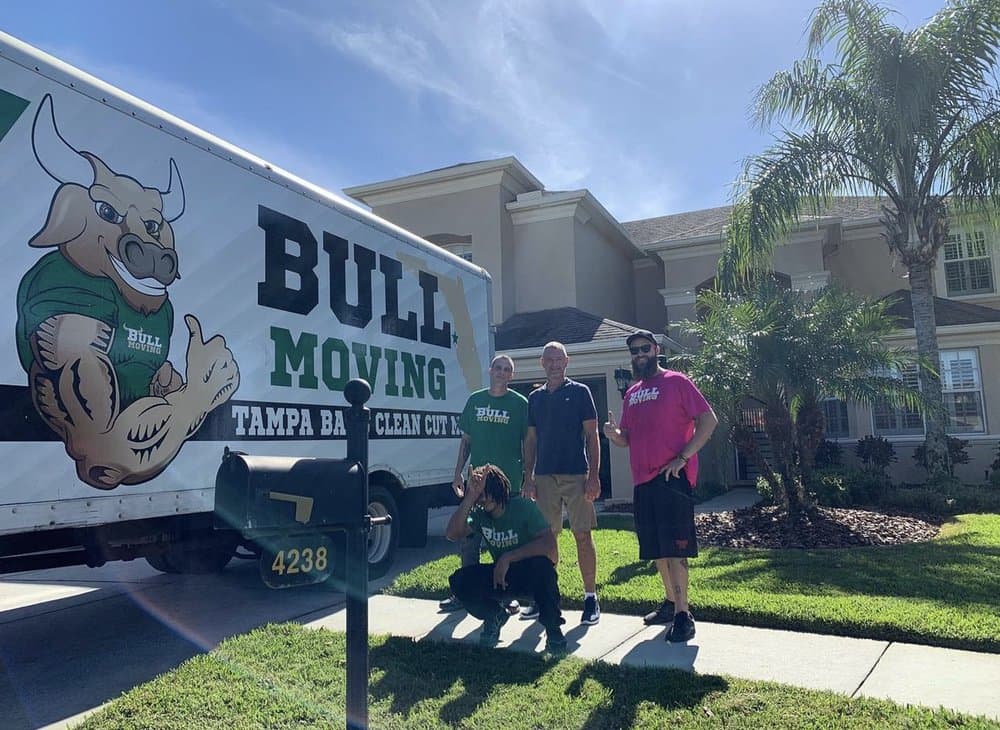Bull Moving