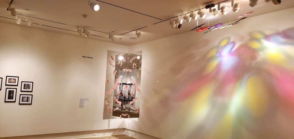 Rollins Museum of Art