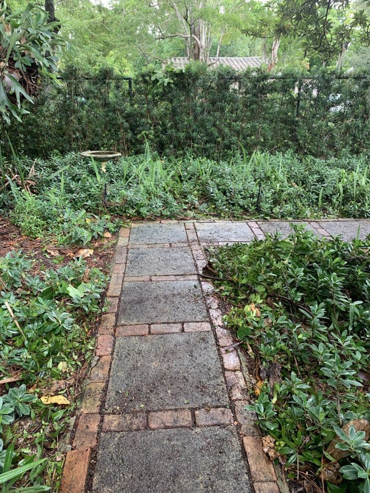 Javves Tree and Maintenance Services