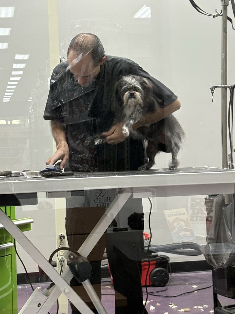 Pet Supermarket