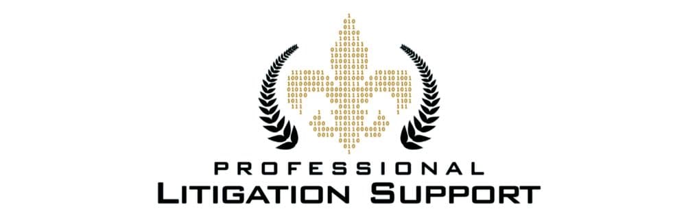 Professional Litigation Support