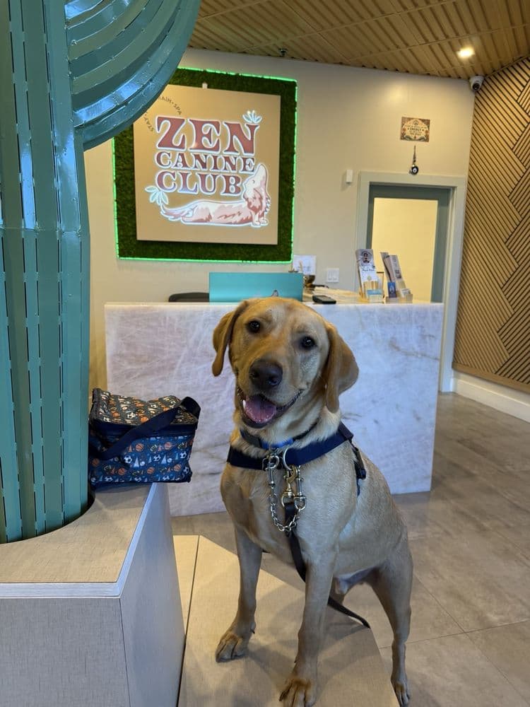 Zen Canine Club