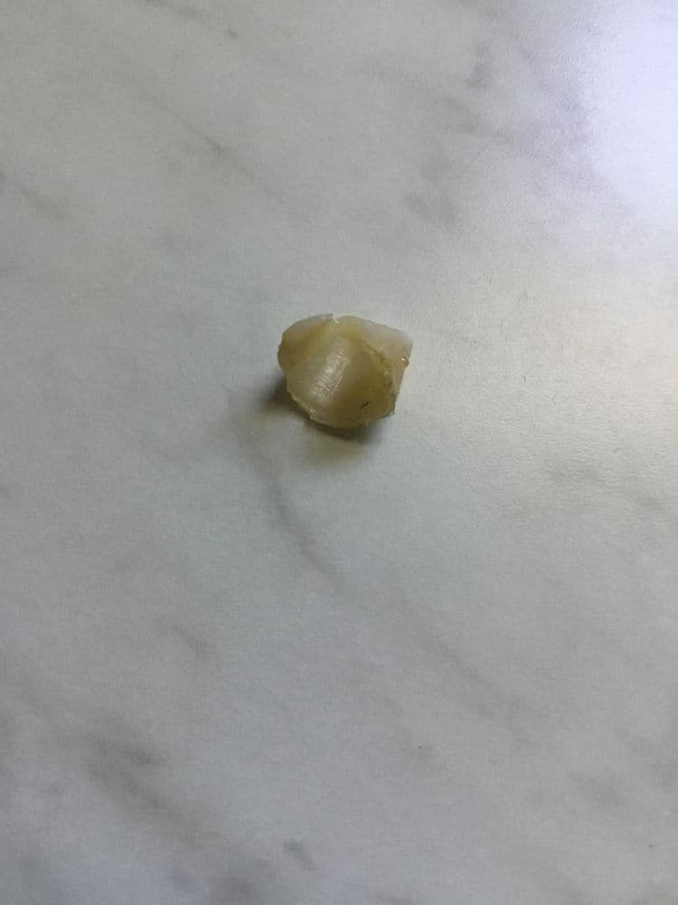 Harbour Dental Care