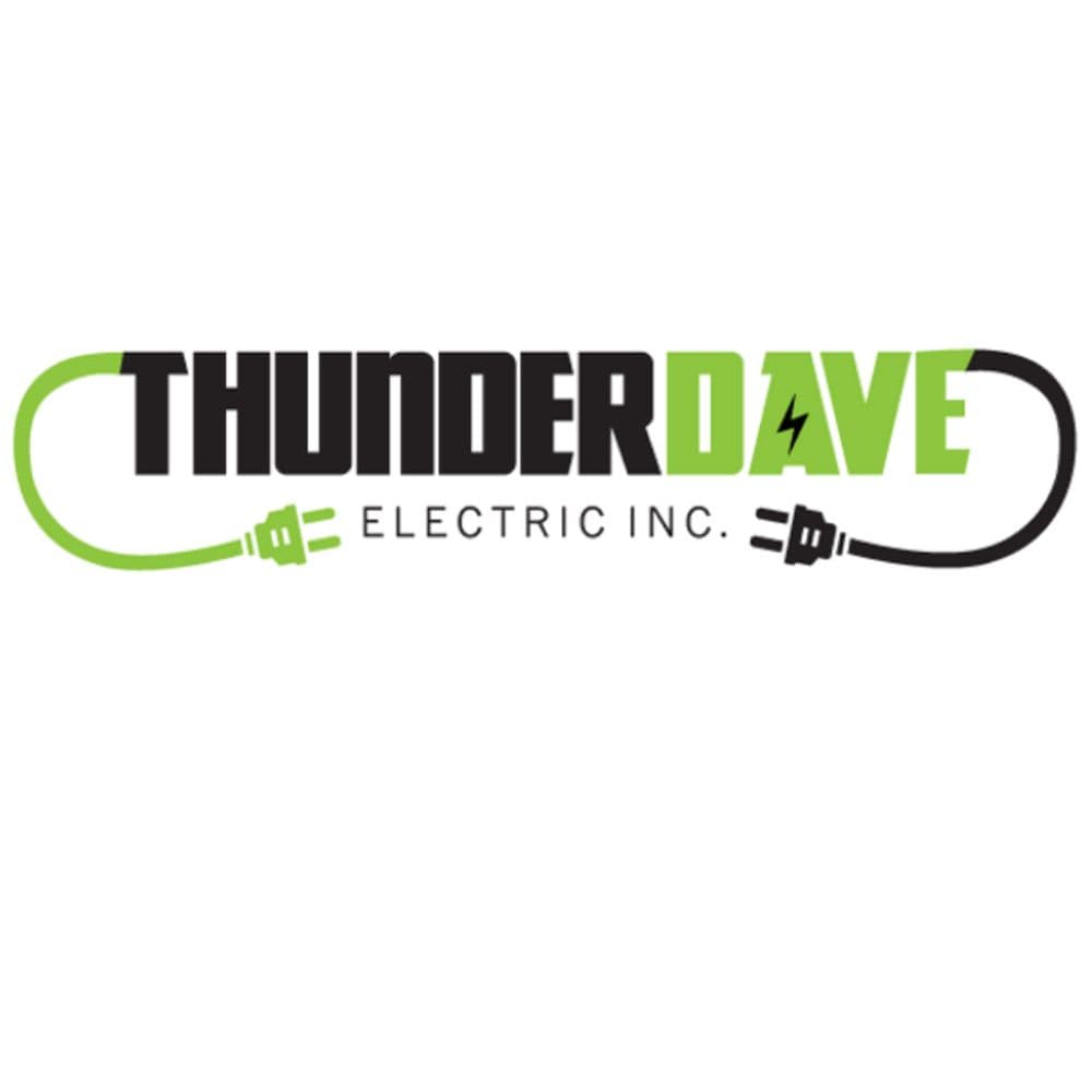 THUNDERDAVE ELECTRIC INC.