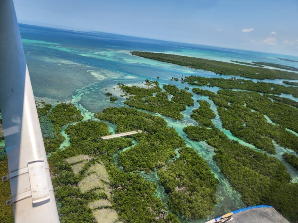 Miami Seaplane Tours