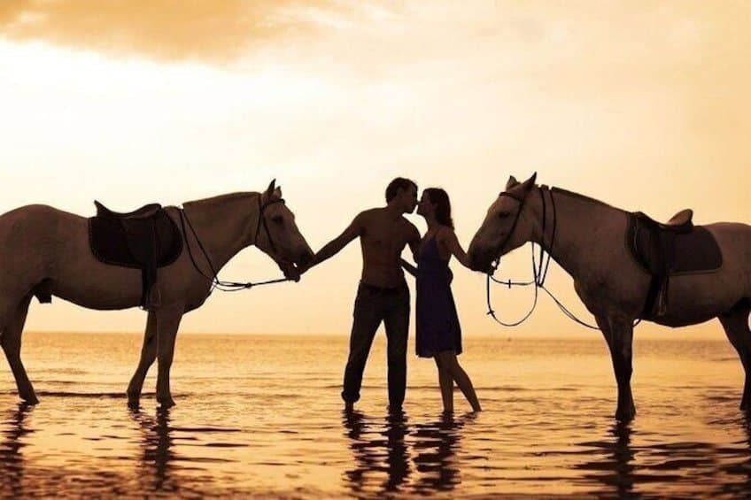 All Access Dominican Tours