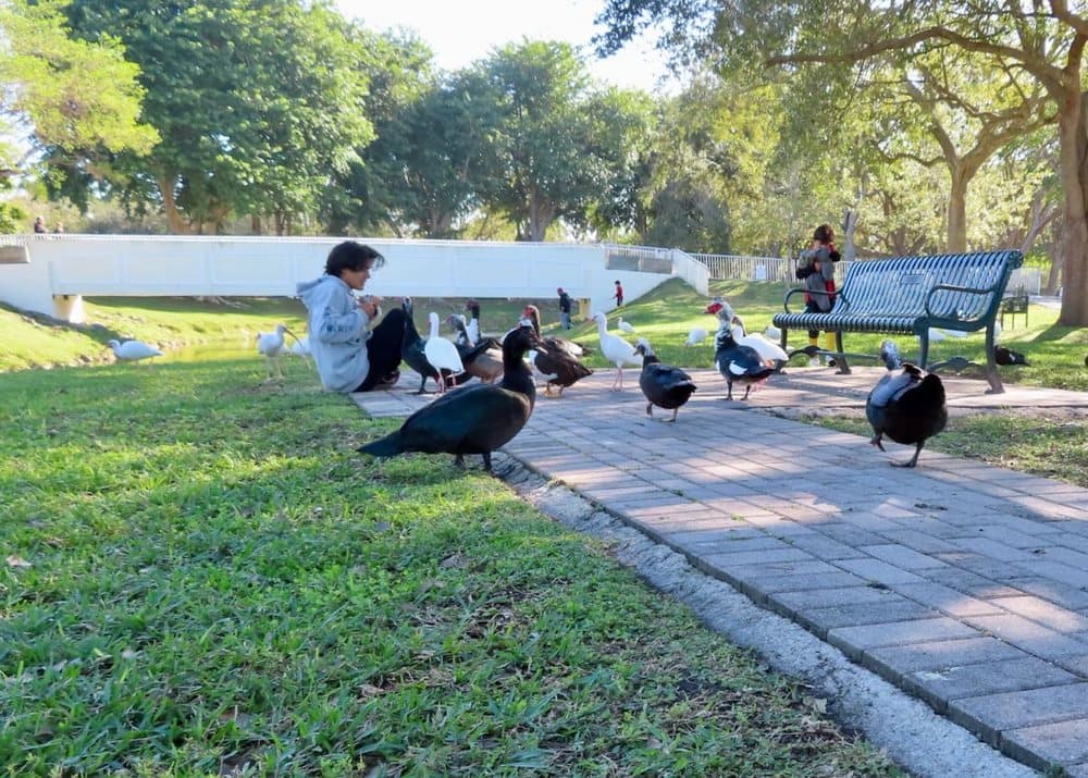 Humane Animal Removal
