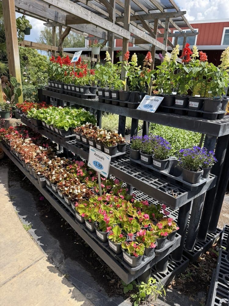 Florida Nursery Mart