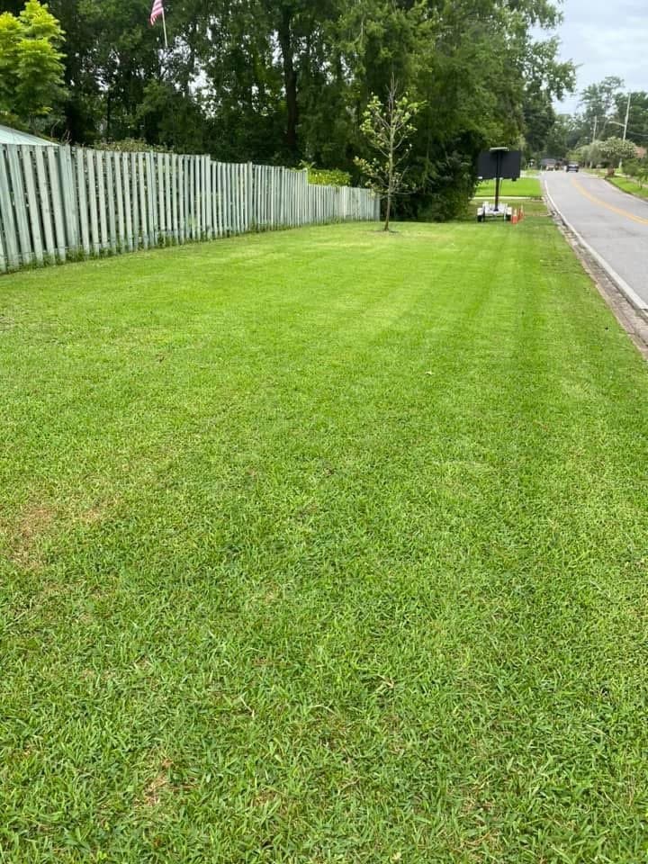 Diaz Nieves Landscaping