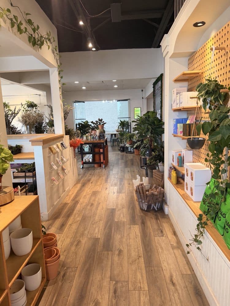 Jungle Room by BWH Plant