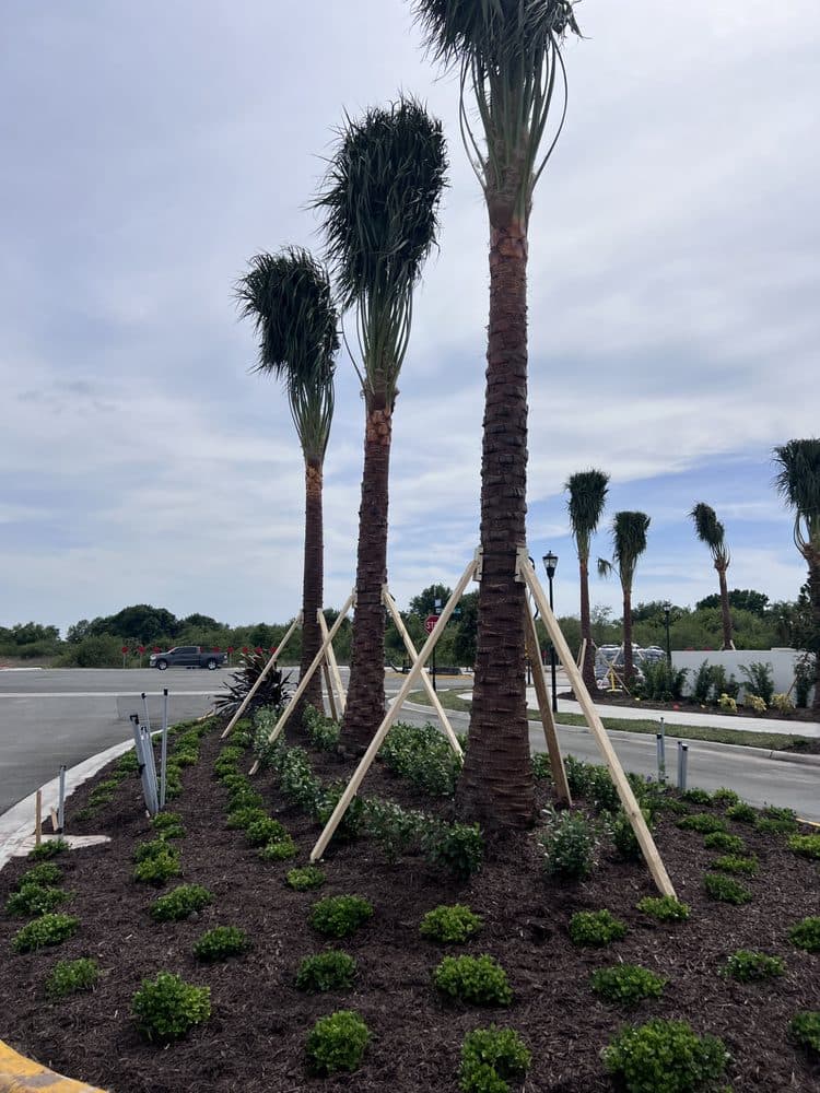 Shield Landscaping