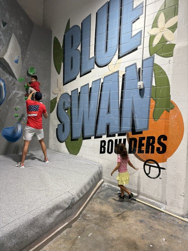 Blue Swan Boulders