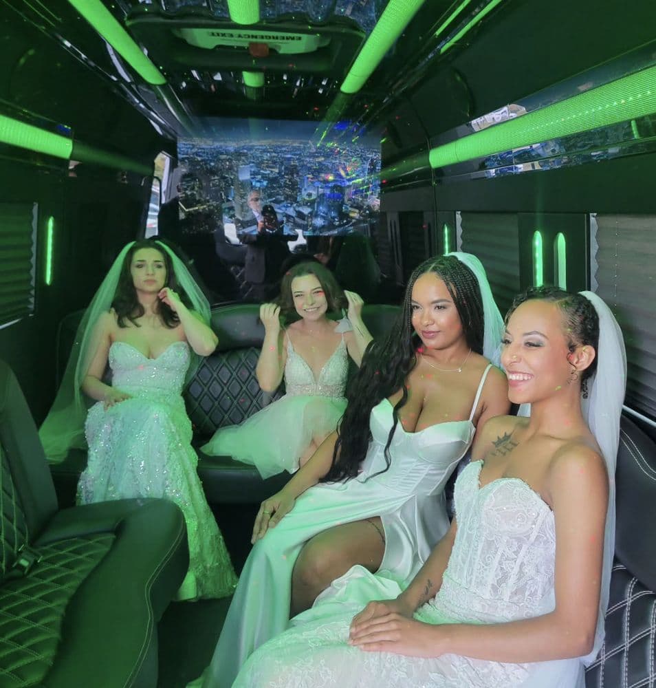 Southern Elegance Limousine