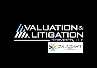 Valuation and Litigation