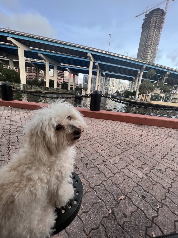 Jose Marti Park
