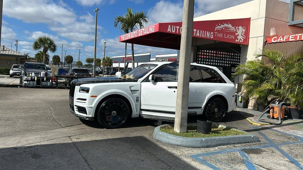 The Lion Auto Detailing