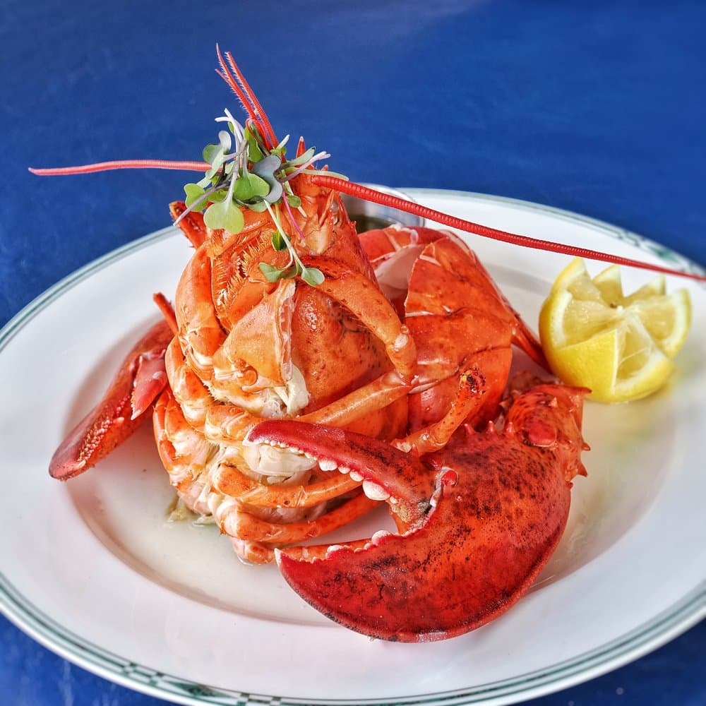 The Nauti Lobstah